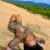 Escort-Athens-Ramona-Escorts-Athens-Stars-Escorts-Athens-Escorts-Girls-Athens-Greece-Vip-Escorts-Athens-Escorts-Glamour-Escorts-Athens-2 Escort-Athens-Ramona-Escorts-Athens-Stars-Escorts-Athens-Escorts-Girls-Athens-Greece-Vip-Escorts-Athens-Escorts-Glamour-Escorts-Athens-2
